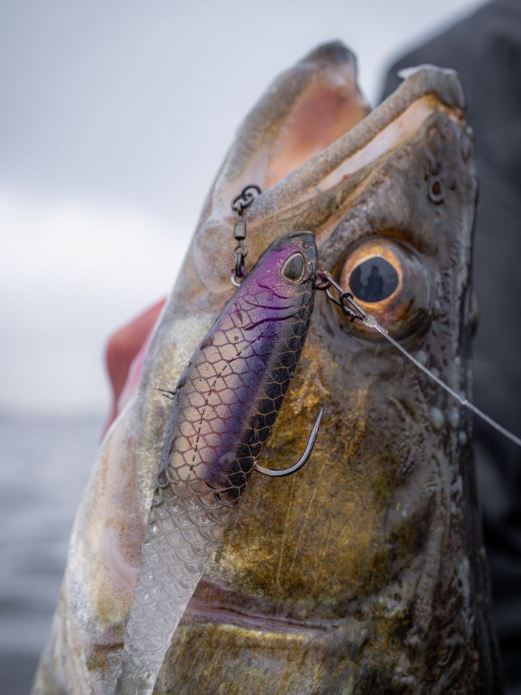 Berkley Gumová Nástraha PowerBait CullShad Deep Sinking Perch (9)